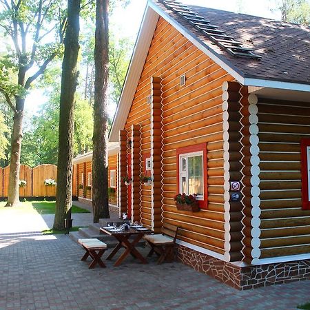 Belaya Dacha Apartment Gomel Rum bild