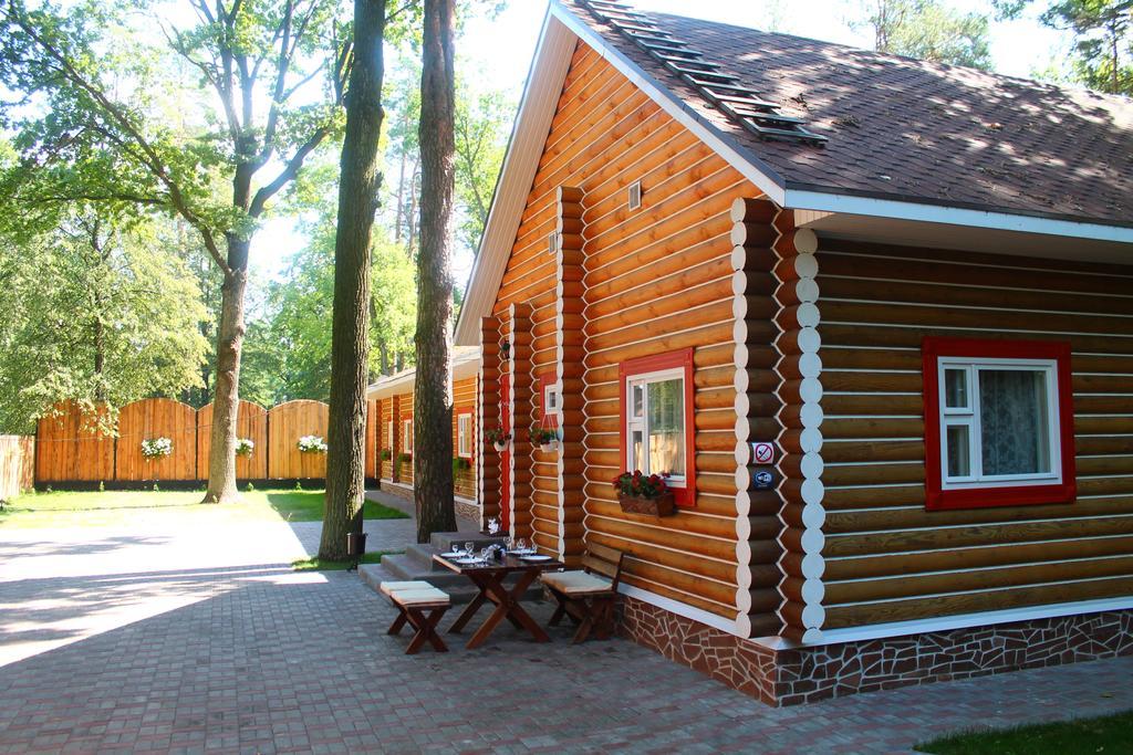 Belaya Dacha Apartment Gomel Rum bild