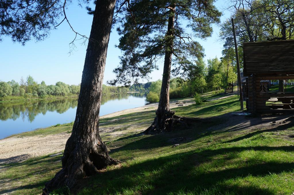 Belaya Dacha Apartment Gomel Exteriör bild